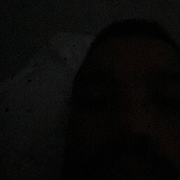 Meet your Posher, Bruno - Picture 1 of 1